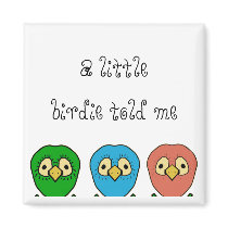 three birds magnets