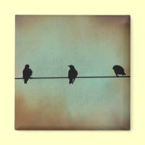 Three Birds on a Wire Magnet magnets