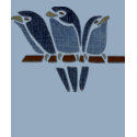 Three Birds t-shirts