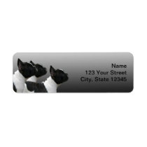 Three Black and White French Bulldogs Custom Return Address Labels