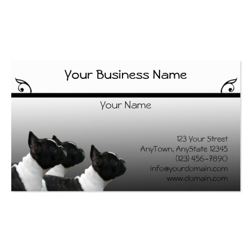 Three Black and White French Bulldogs Portrait Business Card Templates