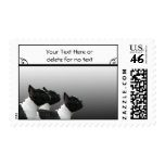 Three Black and White French Bulldogs Portrait Postage Stamp