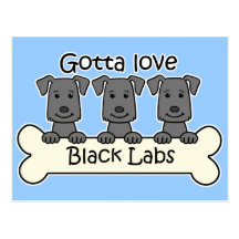 Three Black Labs Postcards