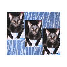 THREE BLIND MICE......ERRR....CATS! STRETCHED CANVAS PRINT