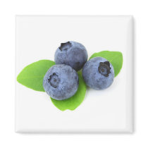 Three Blueberries Fridge Magnet