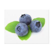 Three Blueberries Postcard