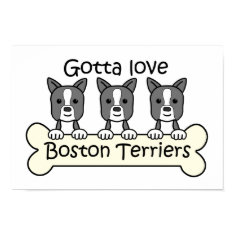 Three Boston Terriers print
