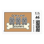 Three Bouviers postage