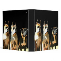Three boxers binder
