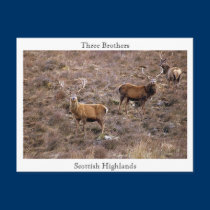 Three Brothers, Scottish Highlands postcards