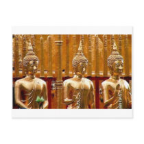 Three Buddhas in Thailand Post Card