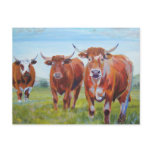 Three  Bulls Painting Post Card