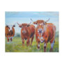 Three  Bulls Painting Post Card
