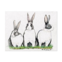 "Three Bunnies" Animal Art Postacard postcards