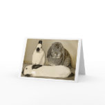 Three Bunnies Greeting Card