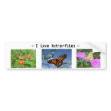Three Butterflies, Bumper sticker. bumper stickers