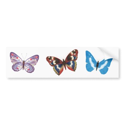 Three Butterflies Bumper Stickers by Lidusik