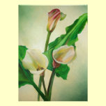 Three Calla Lilies invitations