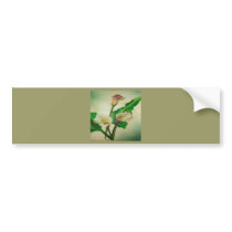 Three Calla Lilies Bumper Stickers