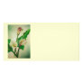 Three Calla Lilies Photo Card