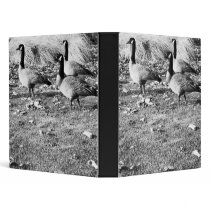 Three Canadian Geese Binder