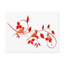 Three Cardinals postcards