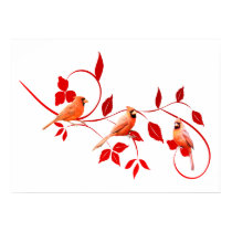 Three Cardinals Poster posters by TLArnold Three Cardinals Poster posters