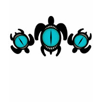 Three Cat's Eye Turtles Shirts