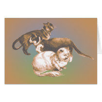 Three cats sketch cards