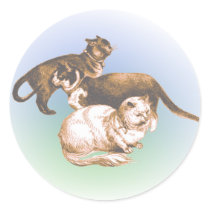 Three cats sketch sticker
