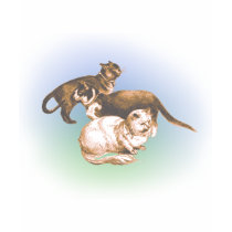 Three cats sketch tshirt