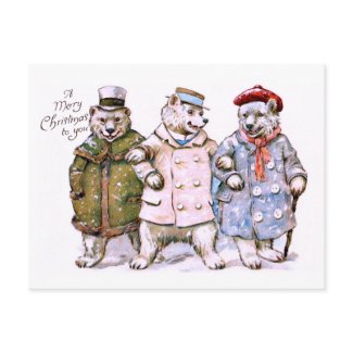 Three Charming Polar Bears