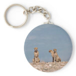 Three cheetahs sitting keychains
