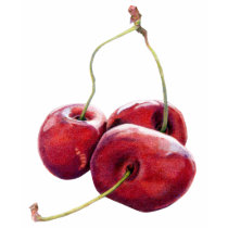 Three Cherries Ladies T-shirt