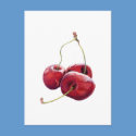 Three Cherries Postcard by floatinglemons Three Cherries Postcard