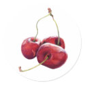 Three Cherries Sticker by floatinglemons Three Cherries Sticker