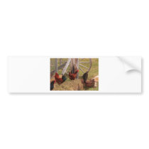 Three Chickens and a Cat Bumper Sticker