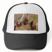 Three Chickens and a Cat Mesh Hat