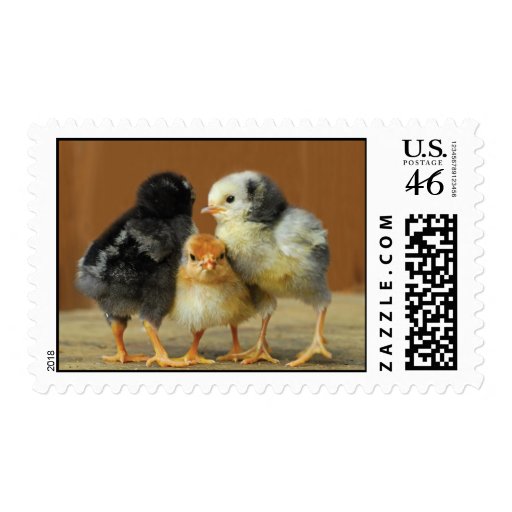Three Chickens Stamp