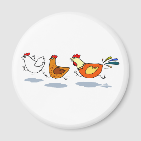 Three Chicks Fridge Magnets