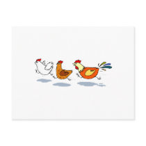 Three Chicks Postcard