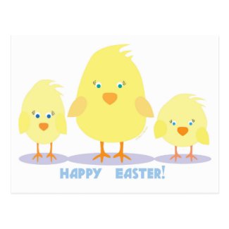 Three Chicks Postcard
