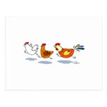 Three Chicks Postcard