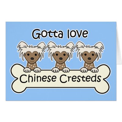Three Chinese Cresteds Card by dogcartoons