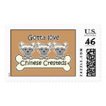 Three Chinese Cresteds postage