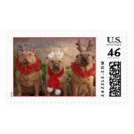 Three Christmas Reindeer Stamp