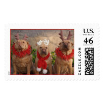 Three Christmas Reindeer Stamp