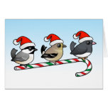 Three Christmas Songbirds (US) Greeting Cards