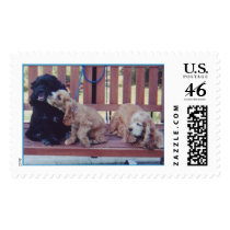 Three Cocker Spaniels postage by mtmendez Three Cocker Spaniels postage