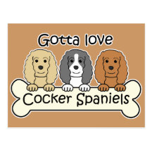 Three Cocker Spaniels Postcards